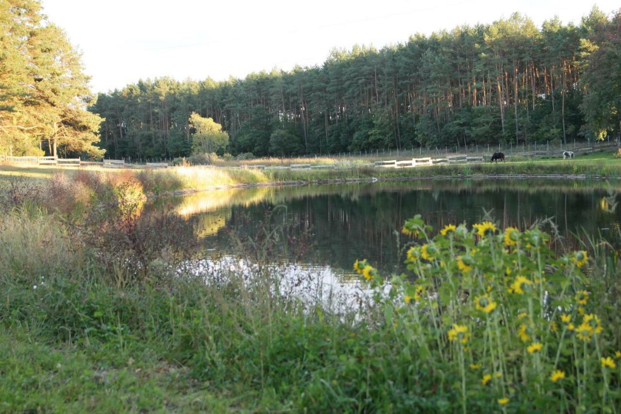 Quatro Osrodek Jezdziecki - Farm stay *