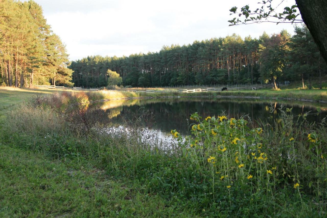 Farm stay Quatro Osrodek Jezdziecki - *